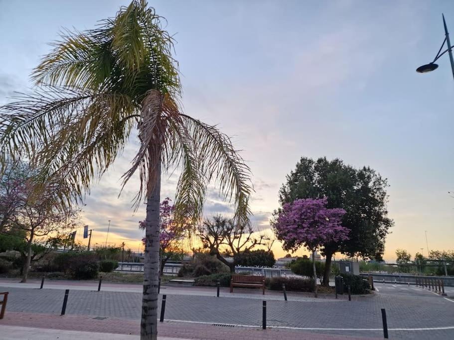 Apartamento Jacaranda Murcia Exterior photo